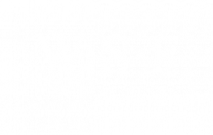 WSF_Logo